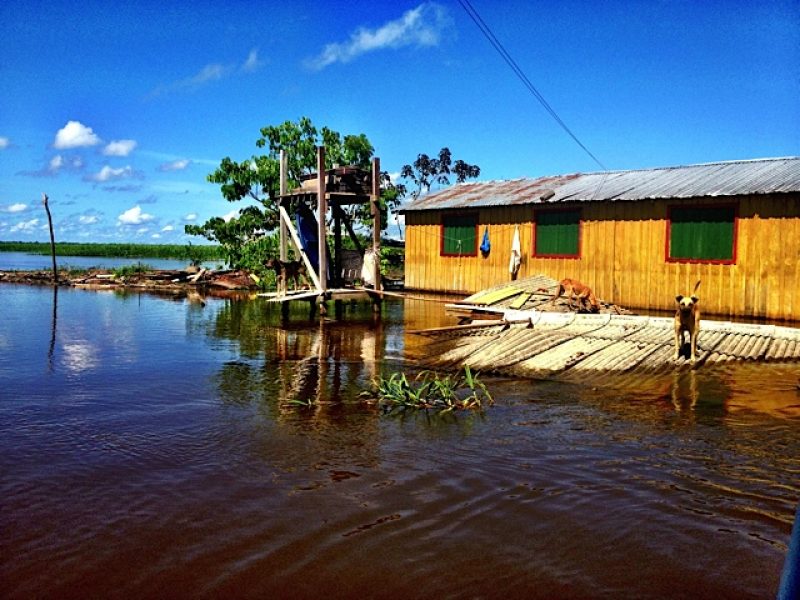 Urgent Amazon Flooding Devastation Justice & Mercy International